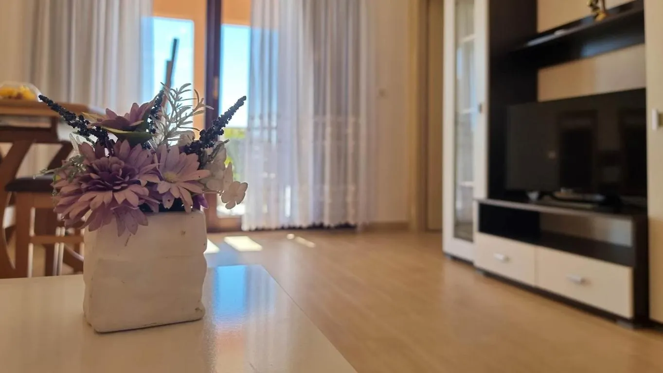 Lucijana Apartment Novigrad  Croatia